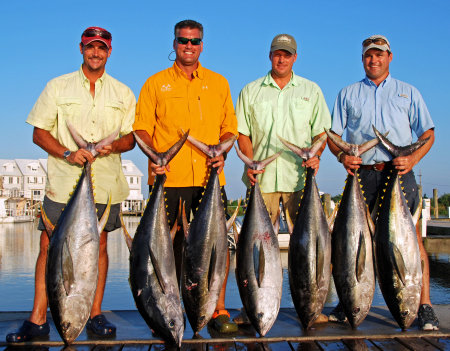 Vince 08 Day 1 Yellow Fin Catch