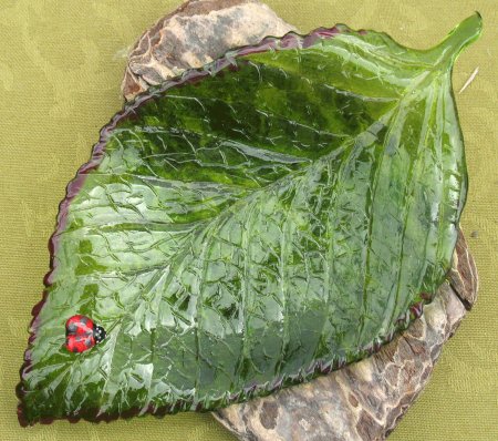 Hydrangea Leaf w/Ladybug