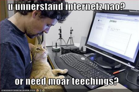 cat-teaches-you-the-internet