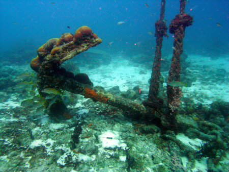 Anchor on Calabas Reef in Bonaire NA