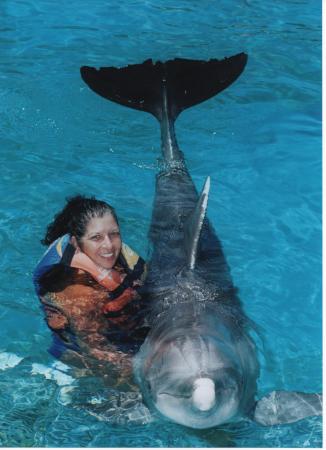 Playing with the dolphins