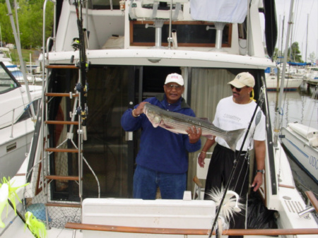 Me on the left, my brother Greg and I showing off a really big Striper, one of several caught that day on Winnergreen. It seldom gets any better .