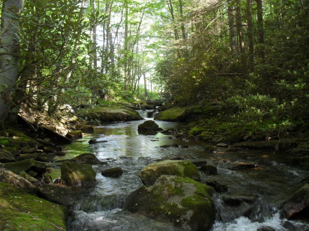 A place where you can reflect and enjoy God's creation - Little Tumbling Creek, Tannersville, Virginia