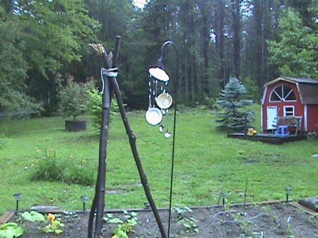 side yard and the beginning of the garden.