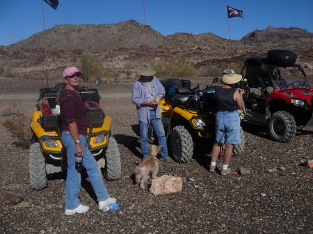 ATV in Arizona desert looking for crystals