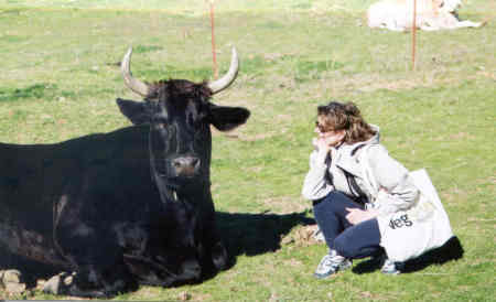 Farm Sanctuary - Orland CA