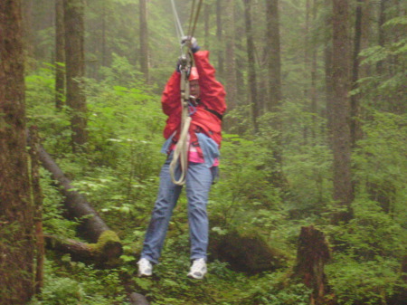 Alaskian zip line