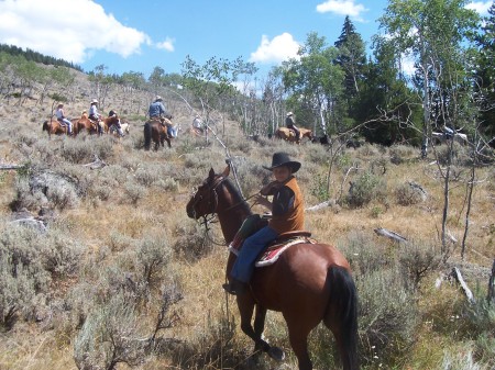 Connor's first cattle drive...