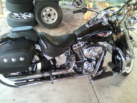 HARLEY SOFTAIL DELUXE