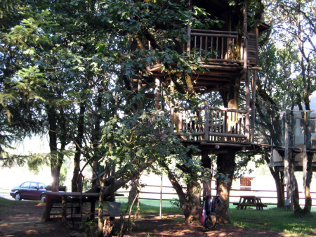 The Treehouse Hotel