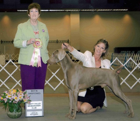 "2008"  My 18 month old Weimaraner puppy