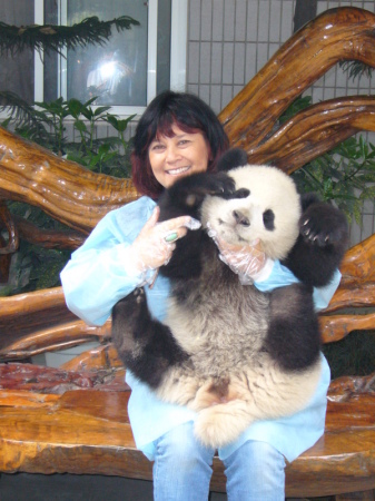Panda Hugs