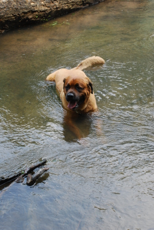 Striver chillin in the creek