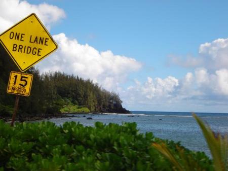 My son took this picture while driving in HI