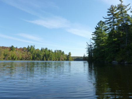 Canoeing the length of Longpond, day2