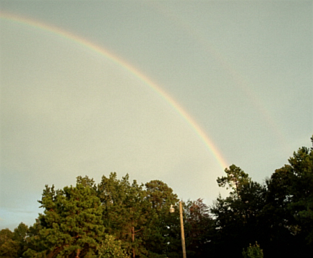 Jerry Conner's album, Arkansas Trip