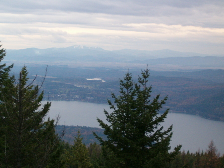 View from Log Home