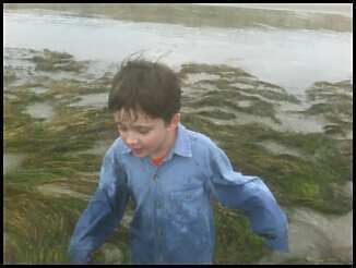 My son, splashing in the tidepools . . .