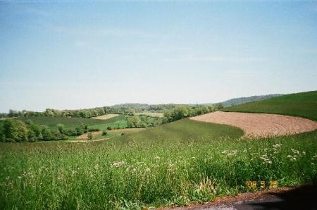 Rolling hills