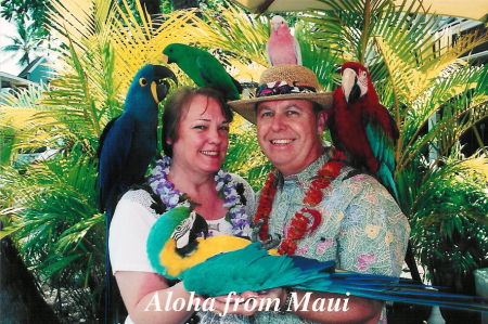 Maui Birds