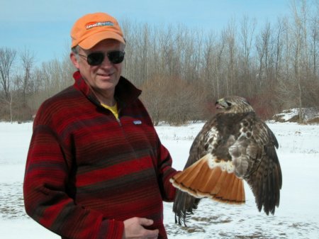 Hawk Banding