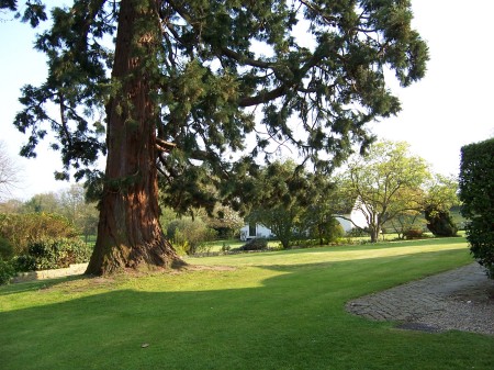 The backyard at Munnings' home.