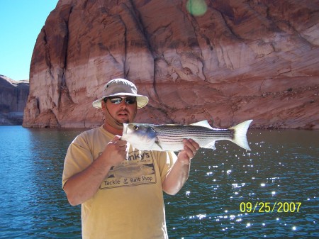 Day fishing on powell.