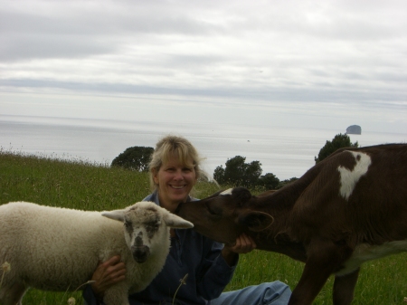 Our home in New Zealand