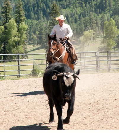 2010 Colorado Ranch