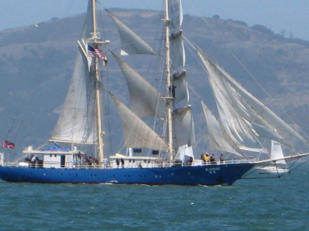 Sail Boat Festival