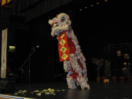 2008 Chinese New Year Festival, Stkn