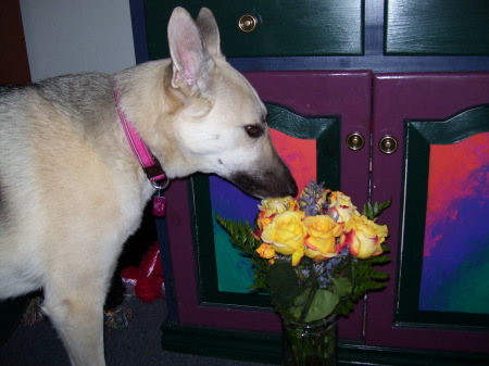 Elke loves flowers