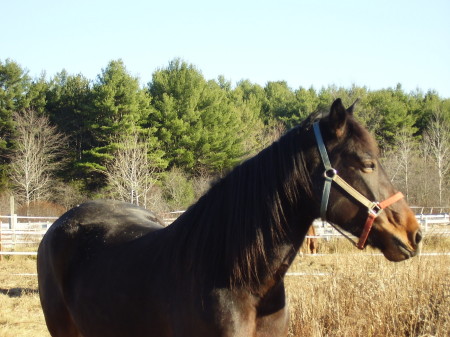 Lady Olivia, age 8