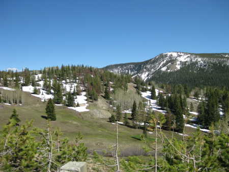 Medicine Bow Forest