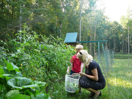 Organic Gardening (Harvest 08)