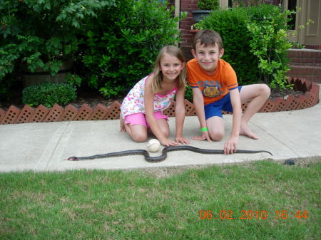 Daddy killed a snake in the yard!