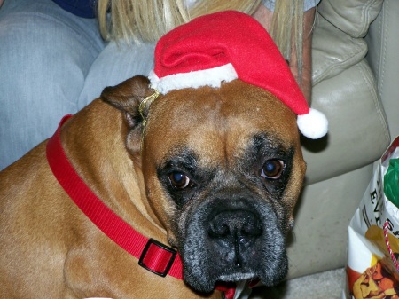 Butkus enjoys Christmas