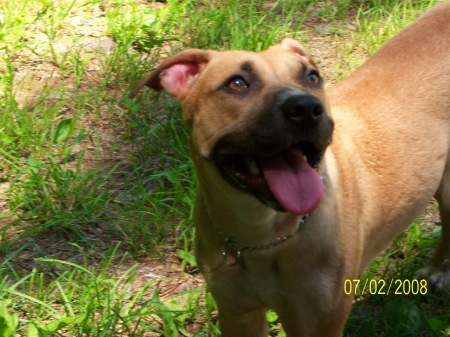 ~ our newest girl >Dutchess {Anastasia}~