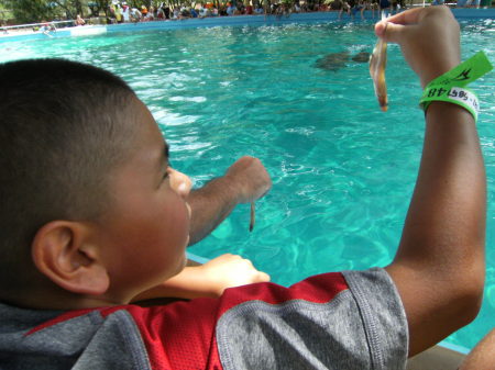 Gabriel and I feeding the dolphins