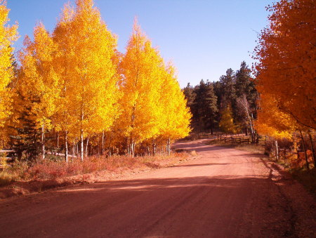 And on a Dirt Road