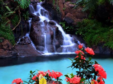 tropical_waterfall-2593