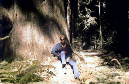 Taking it easy in the Red Woods.