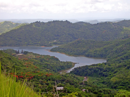 A Picture of "El Lago Vega" Yauco, Puerto Rico