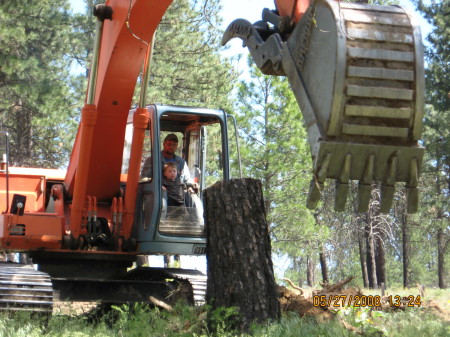 Removing stumps