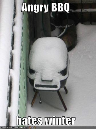 funny-pictures-angry-bbq-hates-winter-snow
