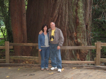 Muir Woods SF