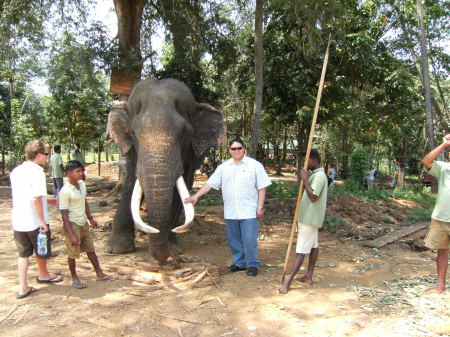 Watch the tusks, Sri Lanka 2008