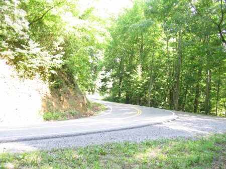 Michael Cassini's album, Tail of the Dragon - 311 Curves in 11 Miles