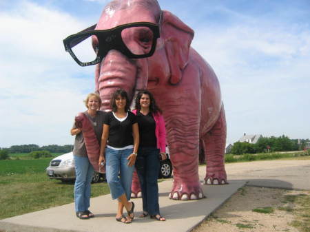 Meet us at the pink elephant with glasses