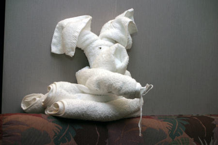 10_towel elephant